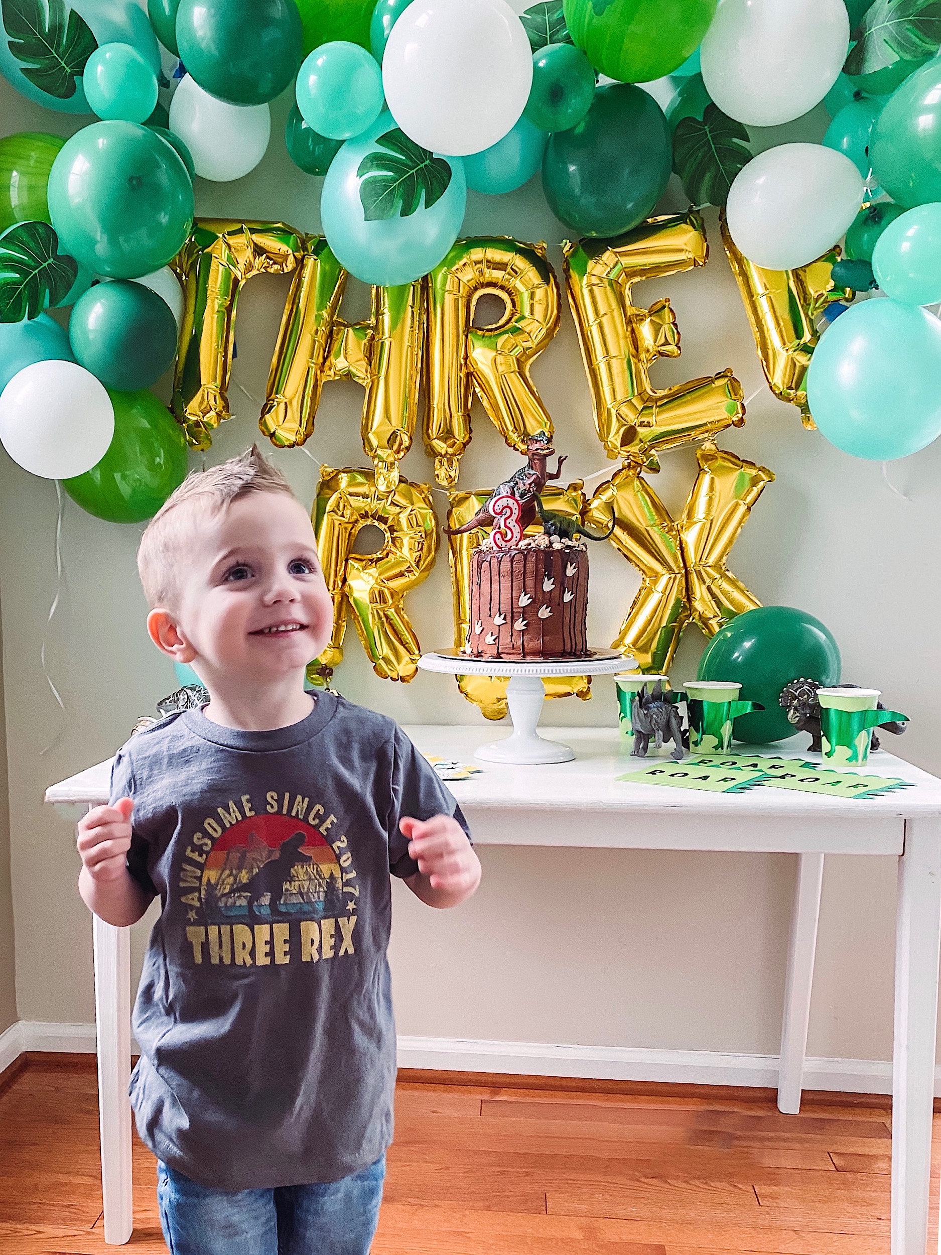 Three-Rex Birthday Party - mrsmeganjane